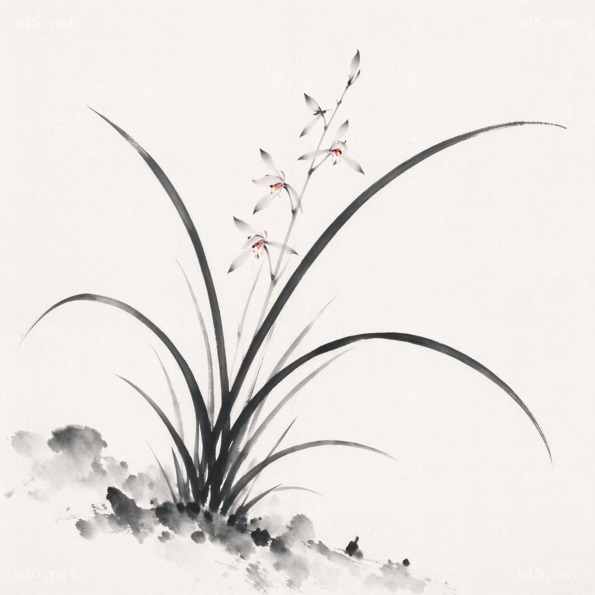 水墨幽兰图,兰花、水墨、国画、写意、植物、清雅